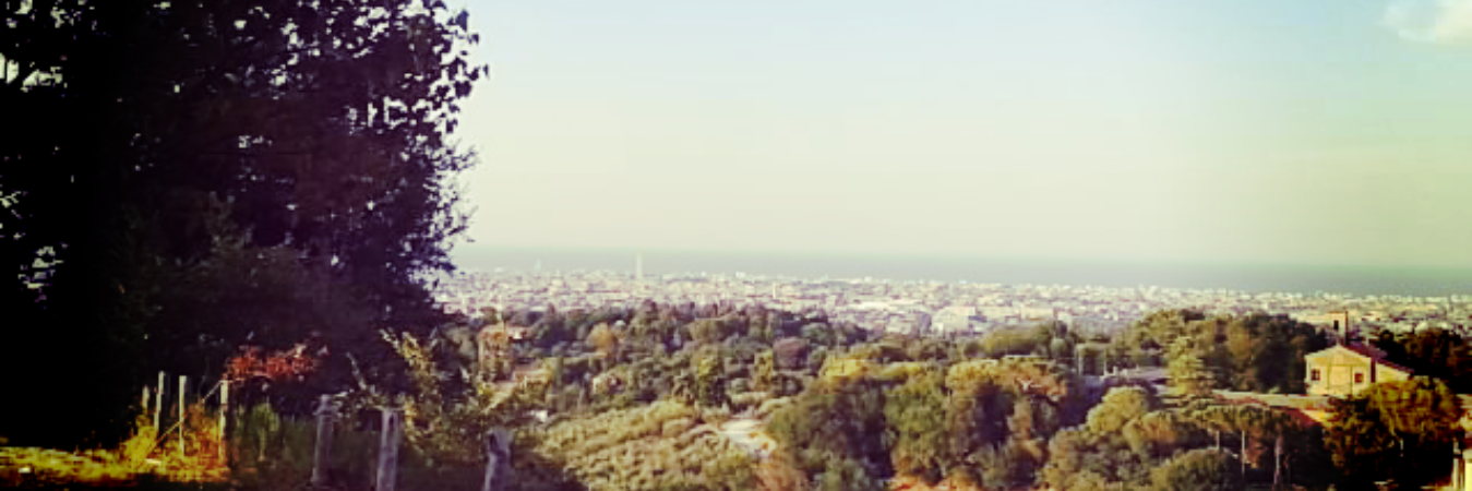 visit Rimini banner