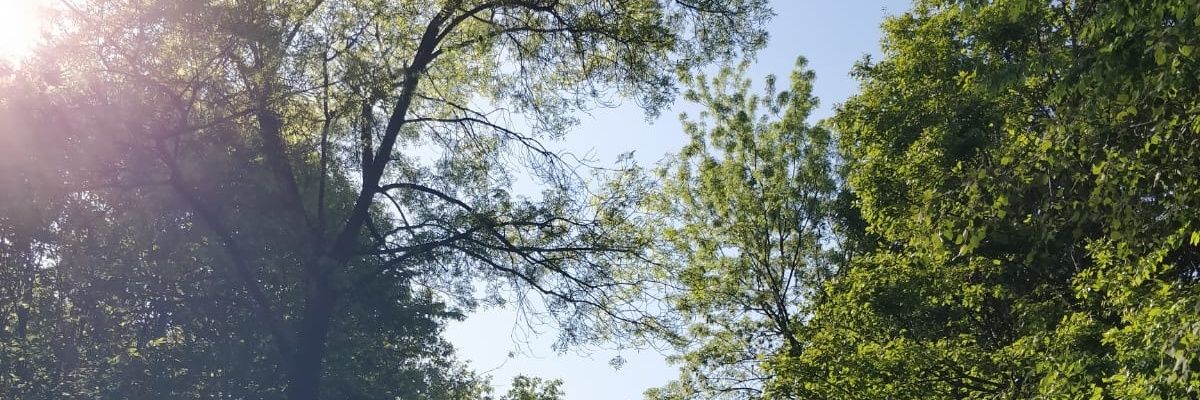 MetehanMeete's profile banner image