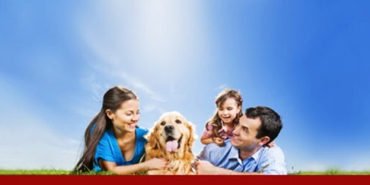 portalimo_pt's profile banner image