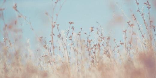 bukanjiyoung's profile banner image