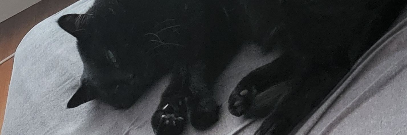 leigh | they/them banner