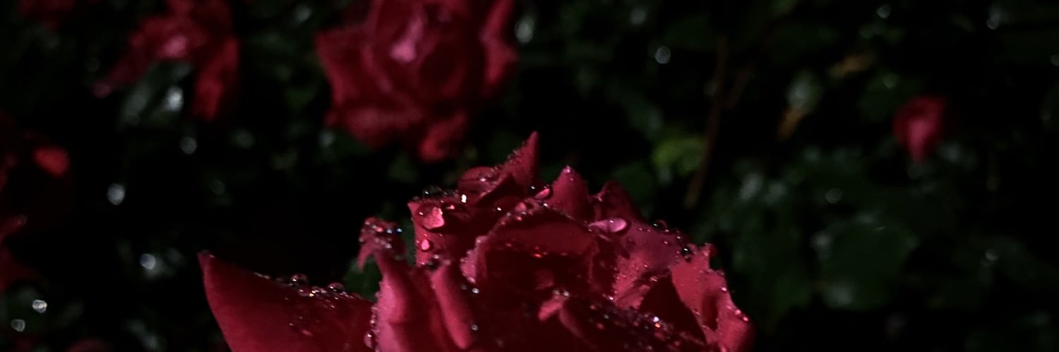 littlegremlin's profile banner image