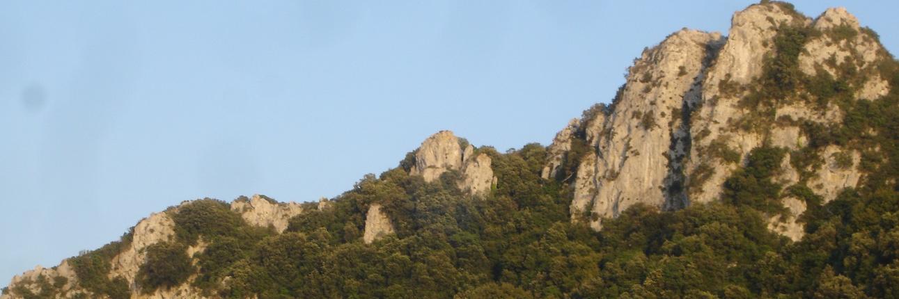 Filizi's profile banner image
