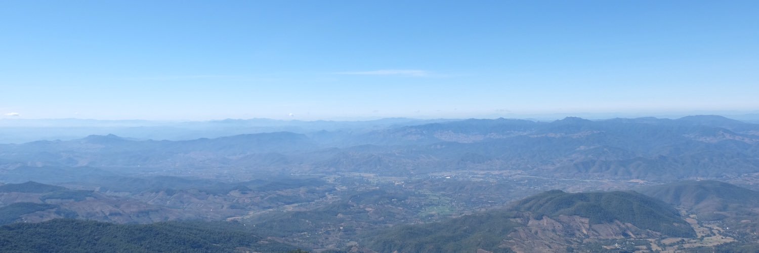 🌲🌲🌲 banner