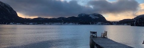 Ann Lamanes, APR banner