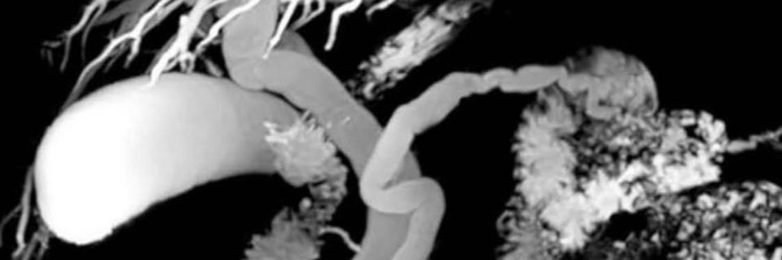 DiSilvioL's profile banner image