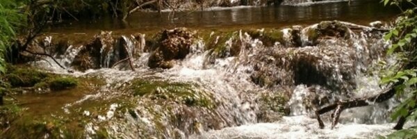 joancarbonellm Profile Banner