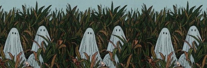 𝖙𝖊𝖊🕸 banner