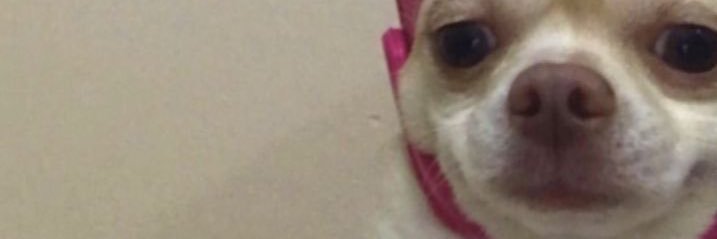 _DaisyMilk_'s profile banner image