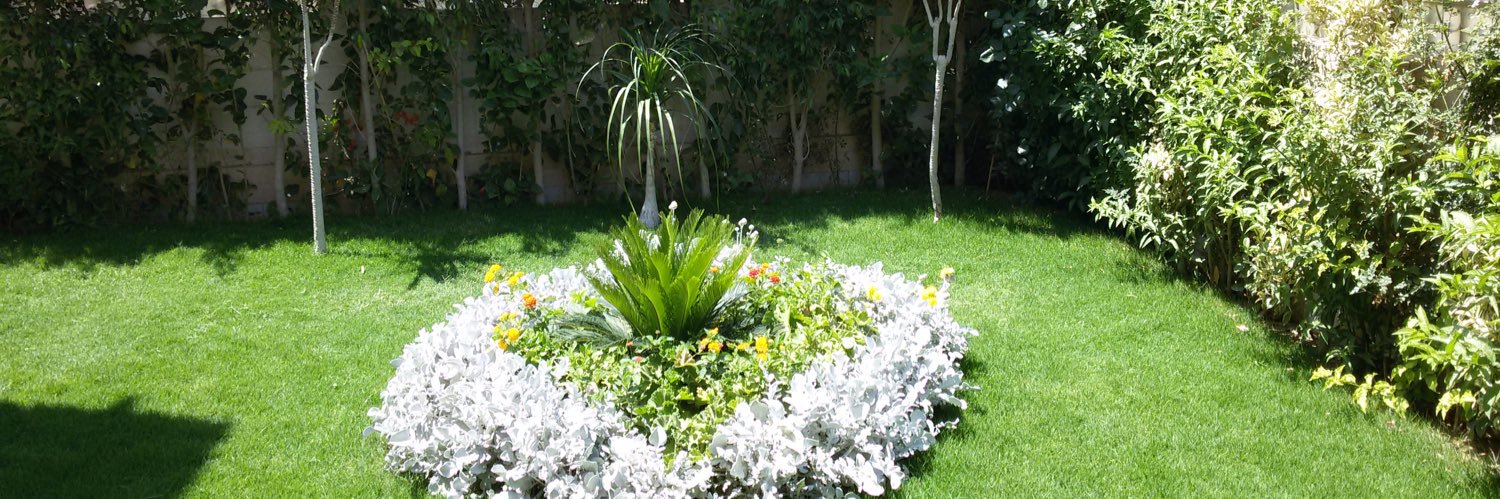 🇪🇬Mokhtar banner