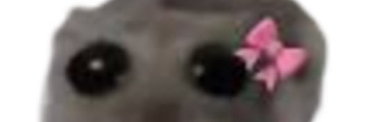 Sari Venäläinen banner