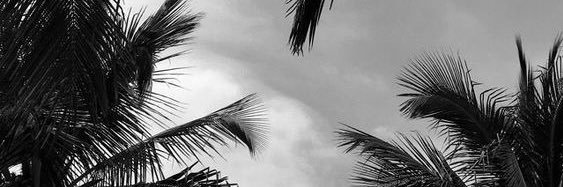 shayslens's profile banner image