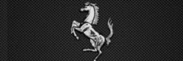 aymanjox1's profile banner image