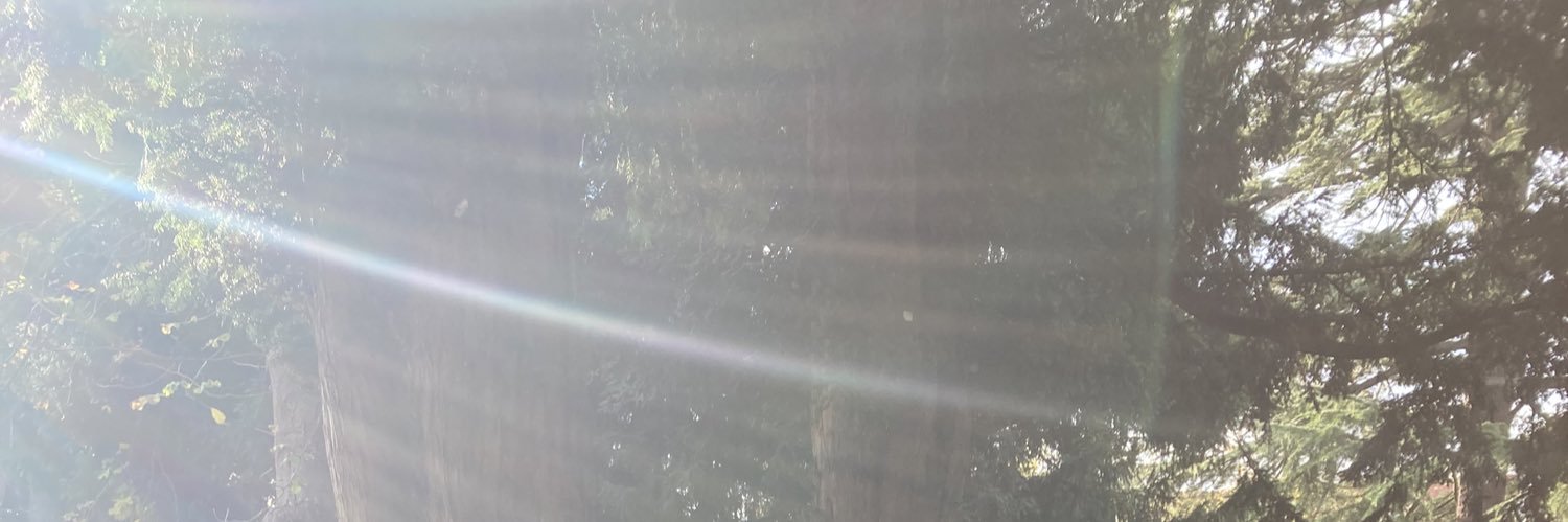 LisCowley's profile banner image