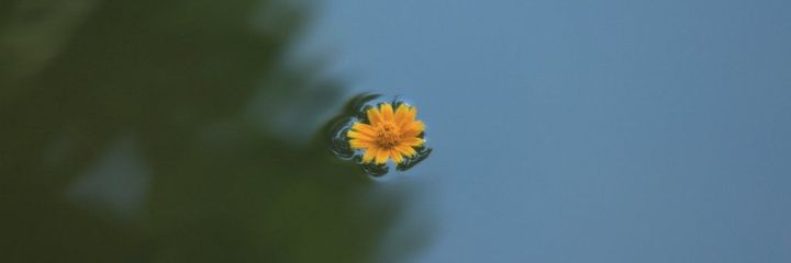 auranda23's profile banner image