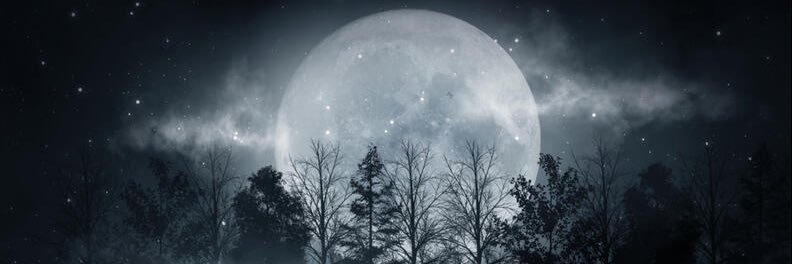 mentecold's profile banner image