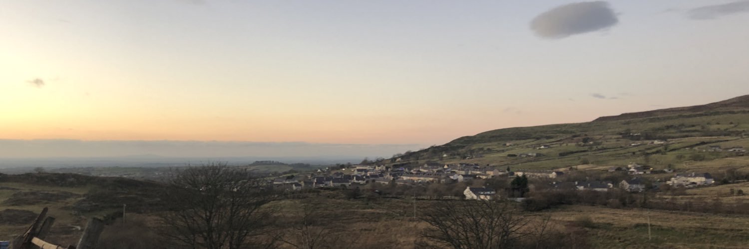 Catrin Llewelyn banner