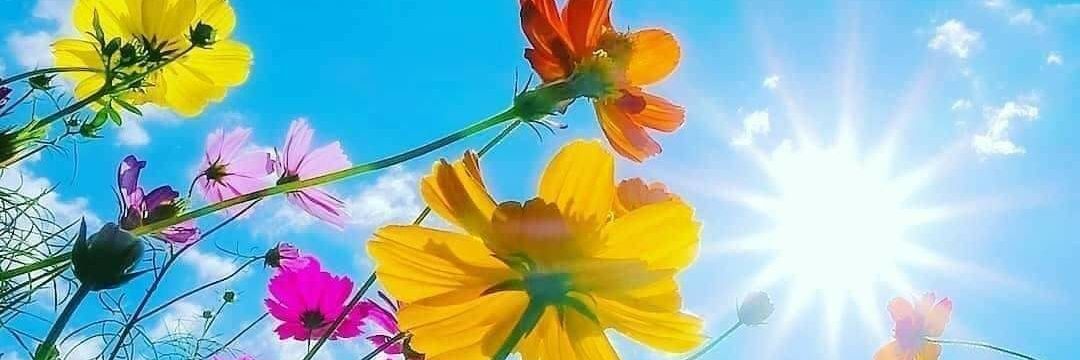 Beverley Hardiman banner