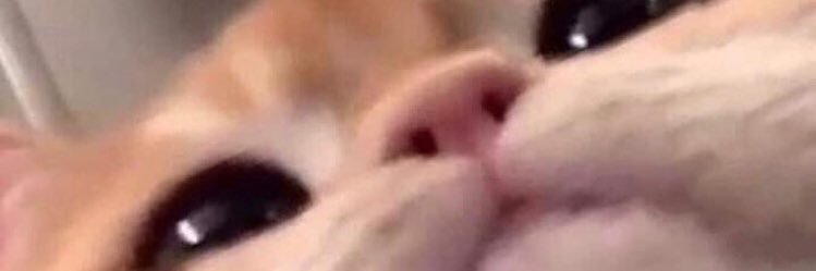 barbisosaa's profile banner image