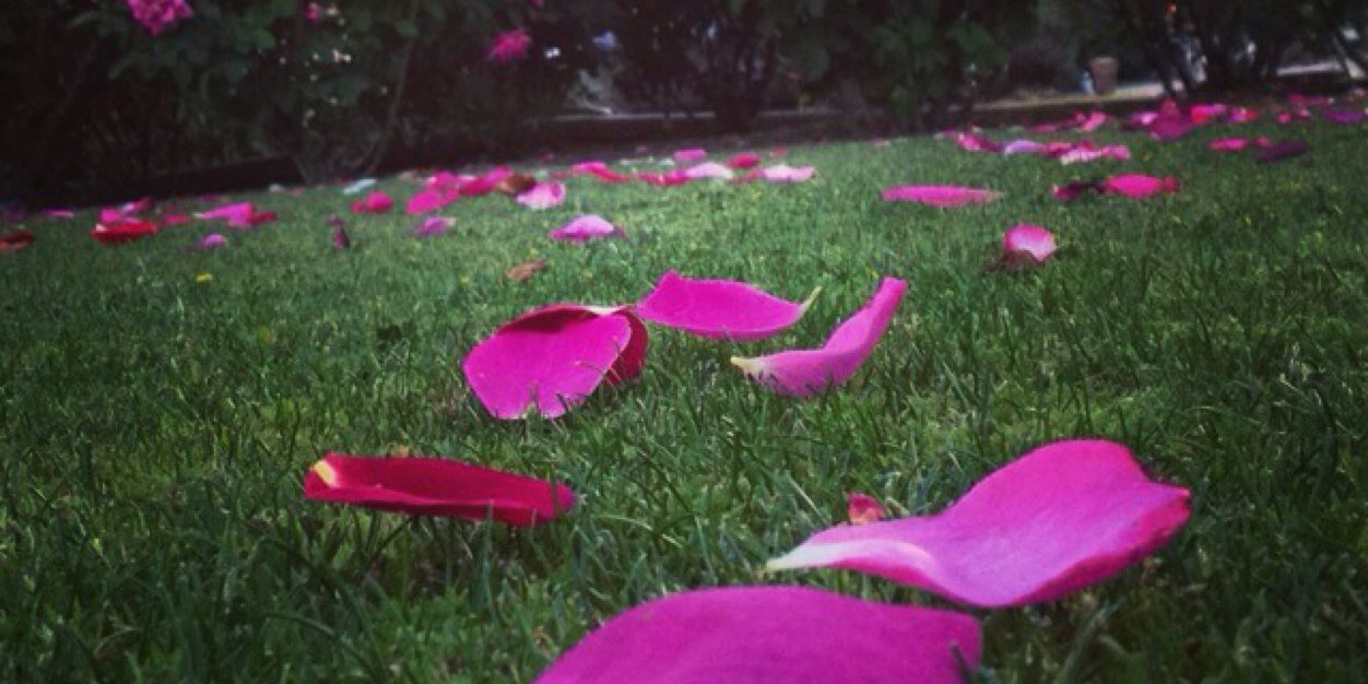 miathreapleton_'s profile banner image