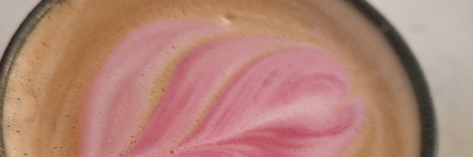 solcitthho's profile banner image