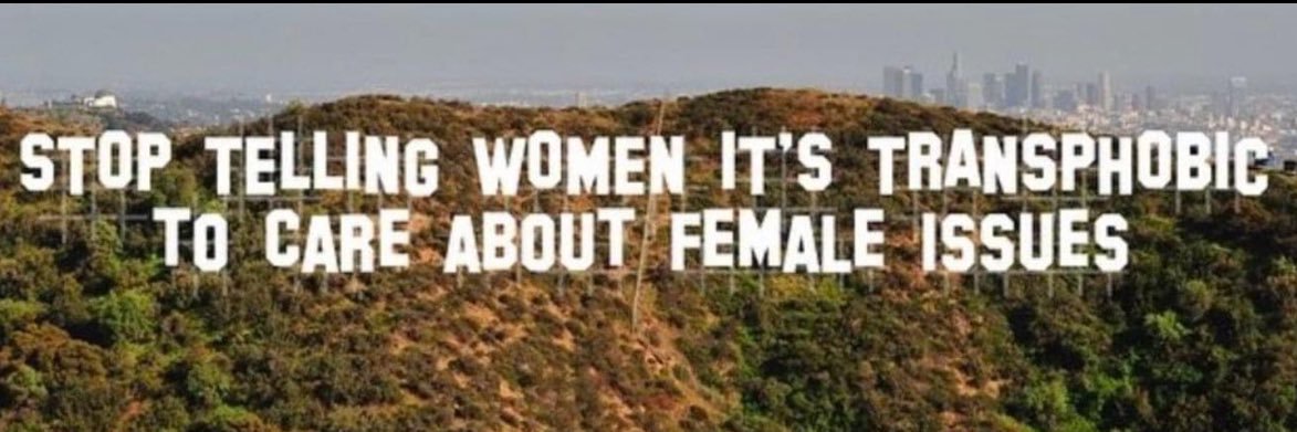 🤍💜💚Frøken Nilsen❌❌🚺I am woman, hear me roar🐯 banner