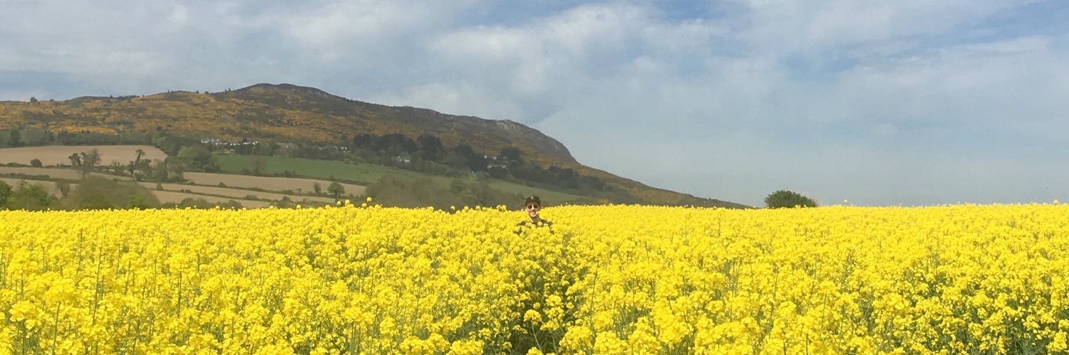 cianfarrell's profile banner image