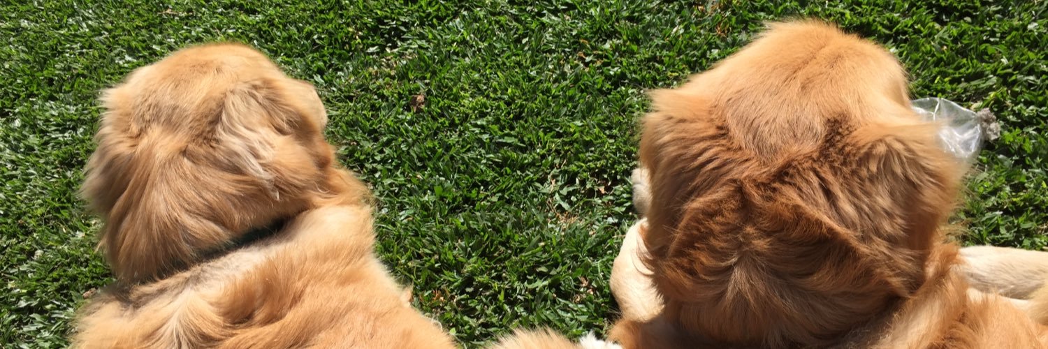 Cami__M's profile banner image