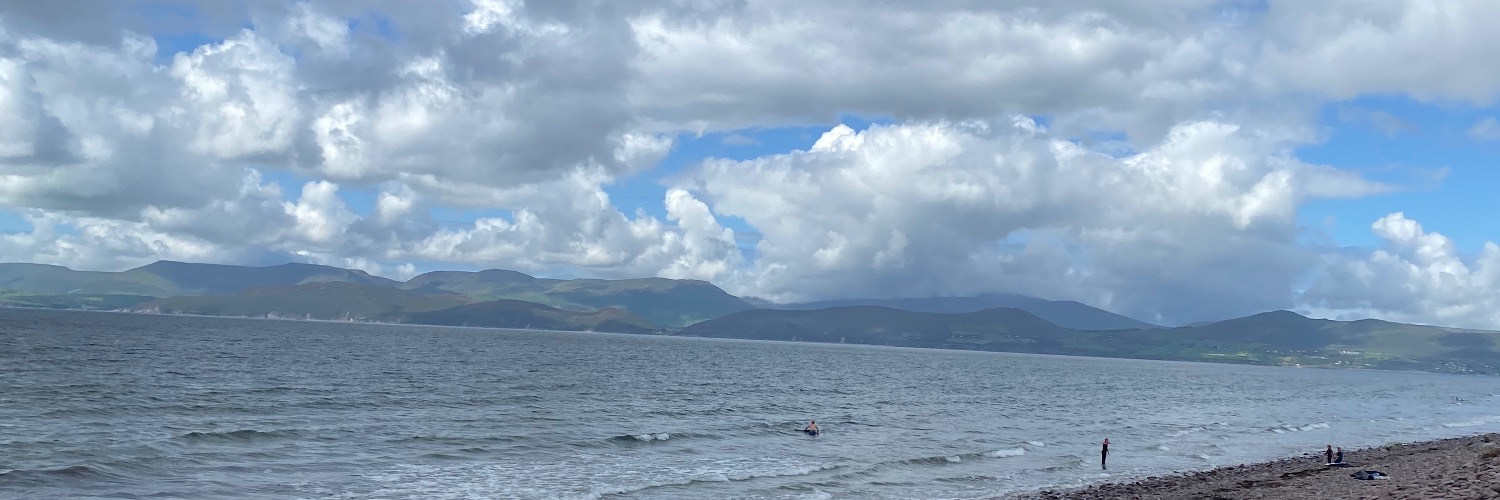 Nollaig Baker banner