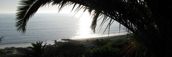 Palisades Patch banner