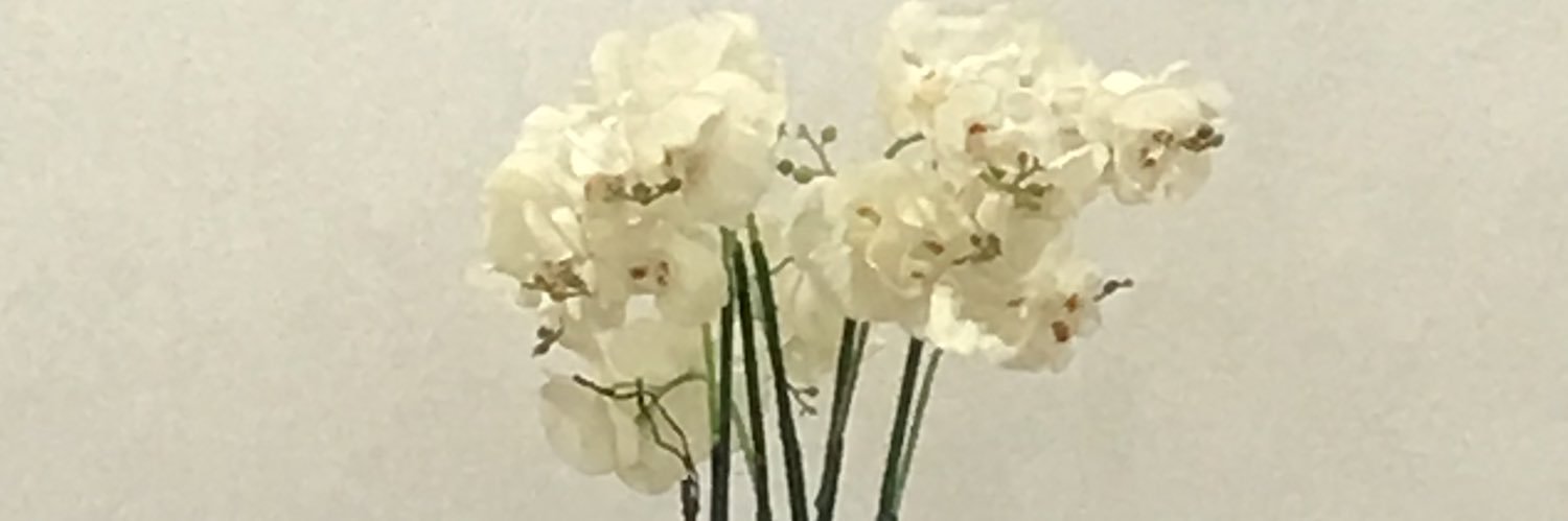 meljoisss's profile banner image
