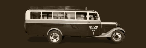 solerisauret Profile Banner