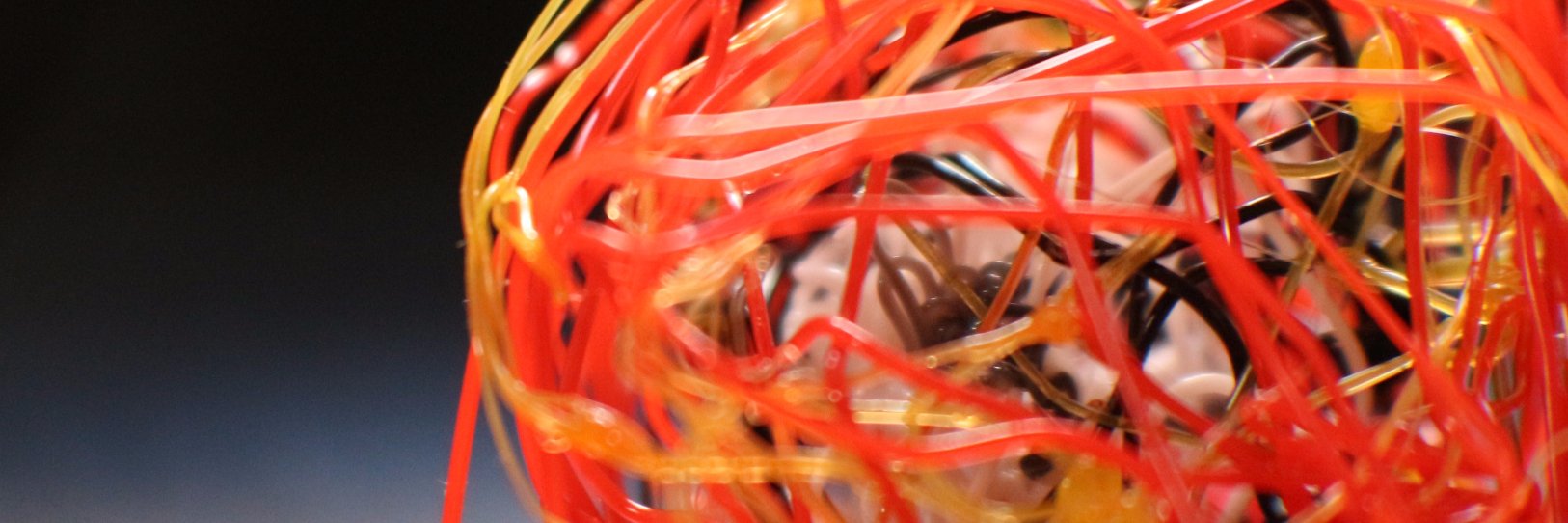 sdantaylor's profile banner image
