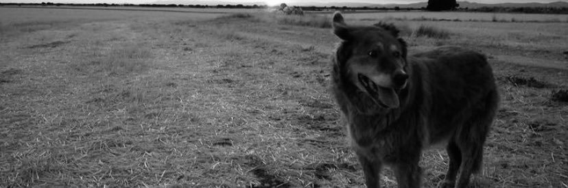 _anaaaaaaaaaa_'s profile banner image