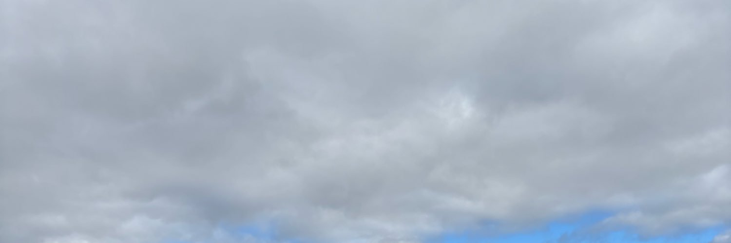 Rui201020's profile banner image