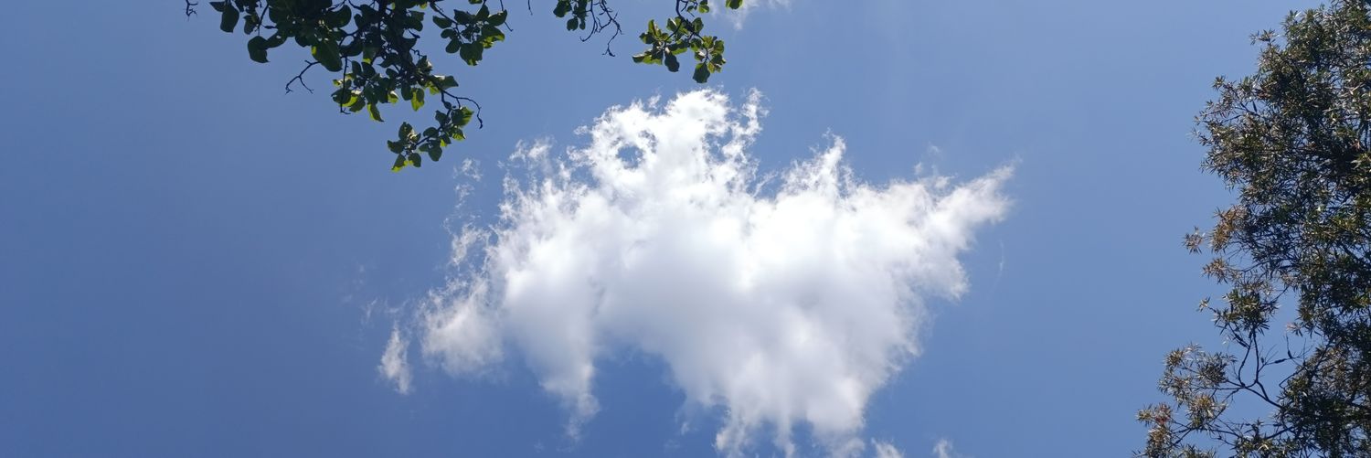 Jetssael's profile banner image