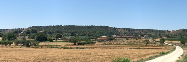 dimbobin Profile Banner