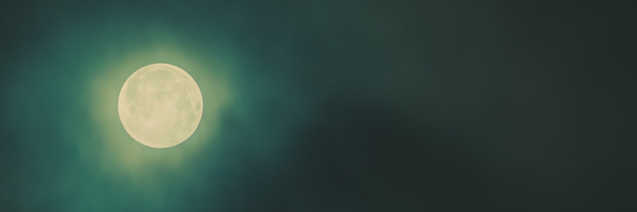Rabini_'s profile banner image