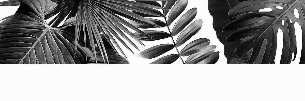 Jazchuga's profile banner image