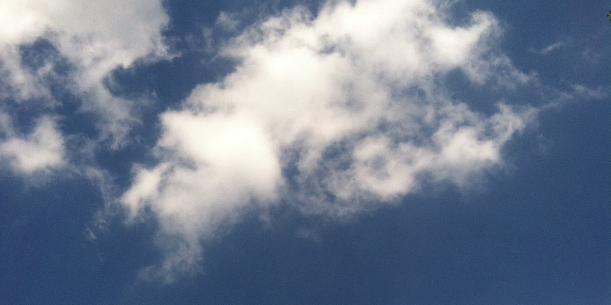 haleyturps's profile banner image