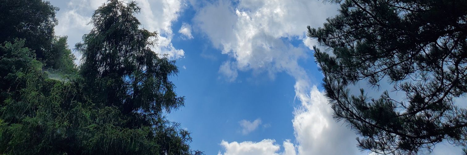 kebabu231's profile banner image
