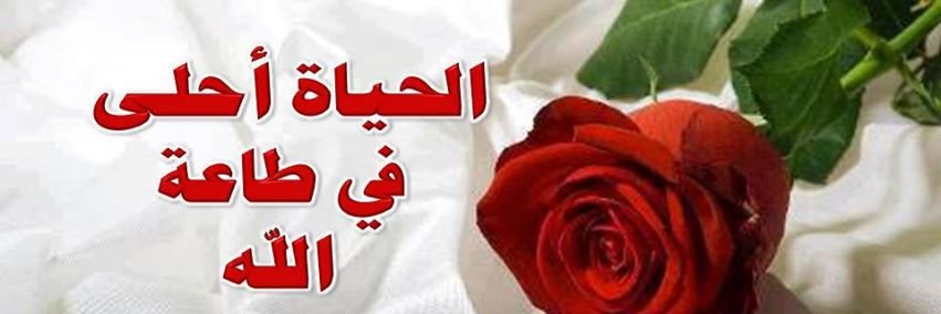 elaidy70's profile banner image