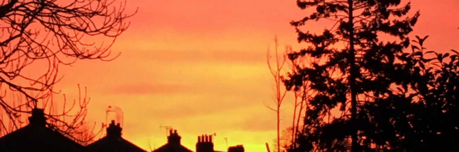 danpetdip's profile banner image