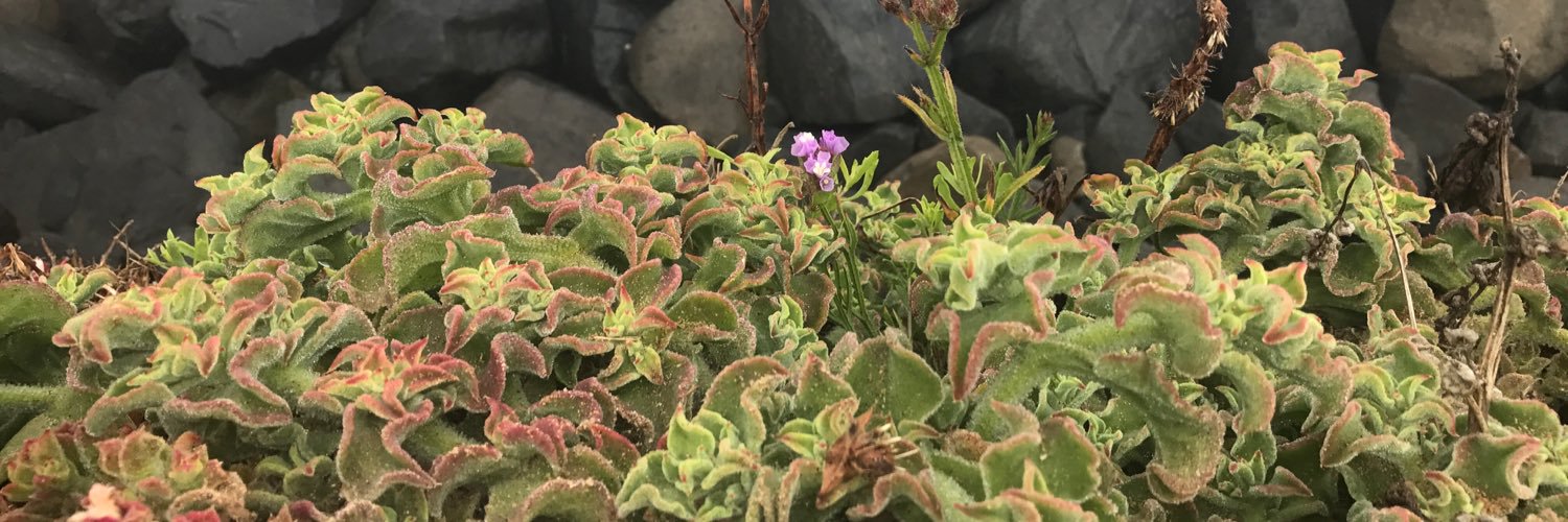 MUSDMOM's profile banner image