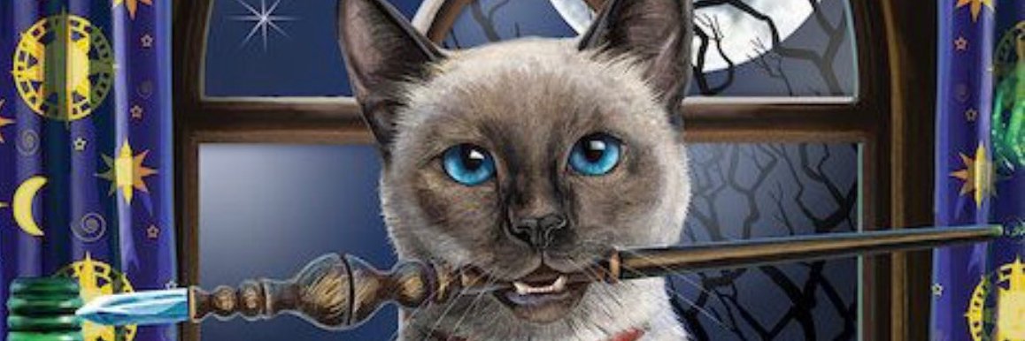 yusuffuncu's profile banner image