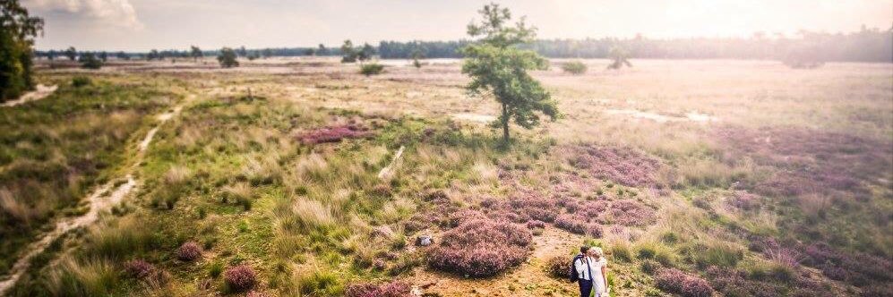 johanmeesters79's profile banner image