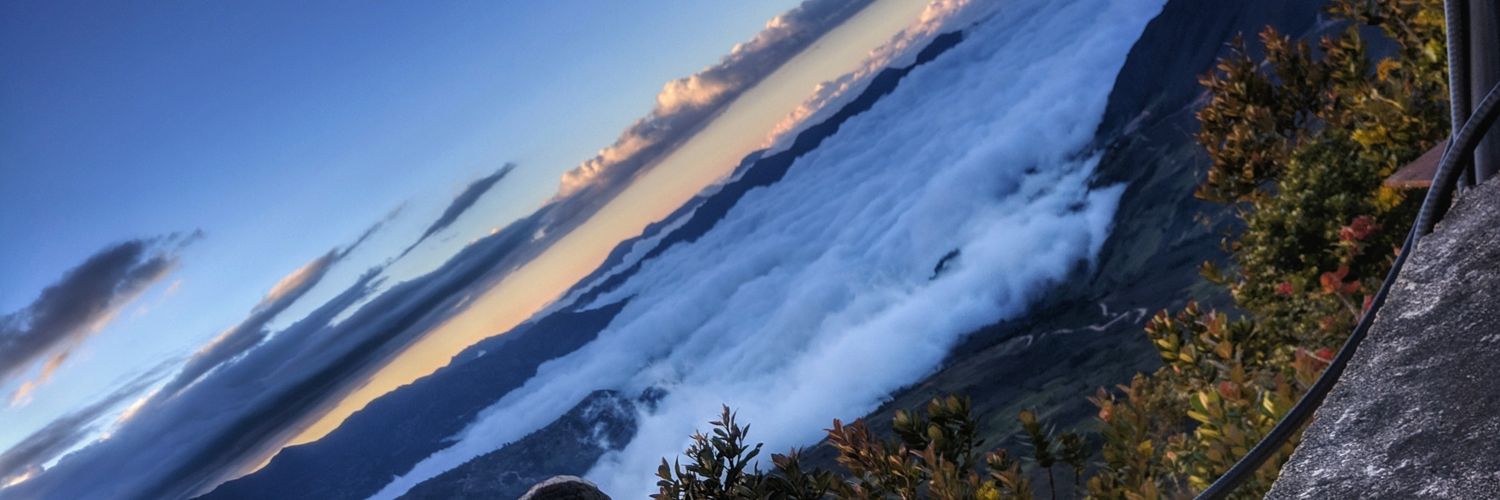 pisanchez94's profile banner image