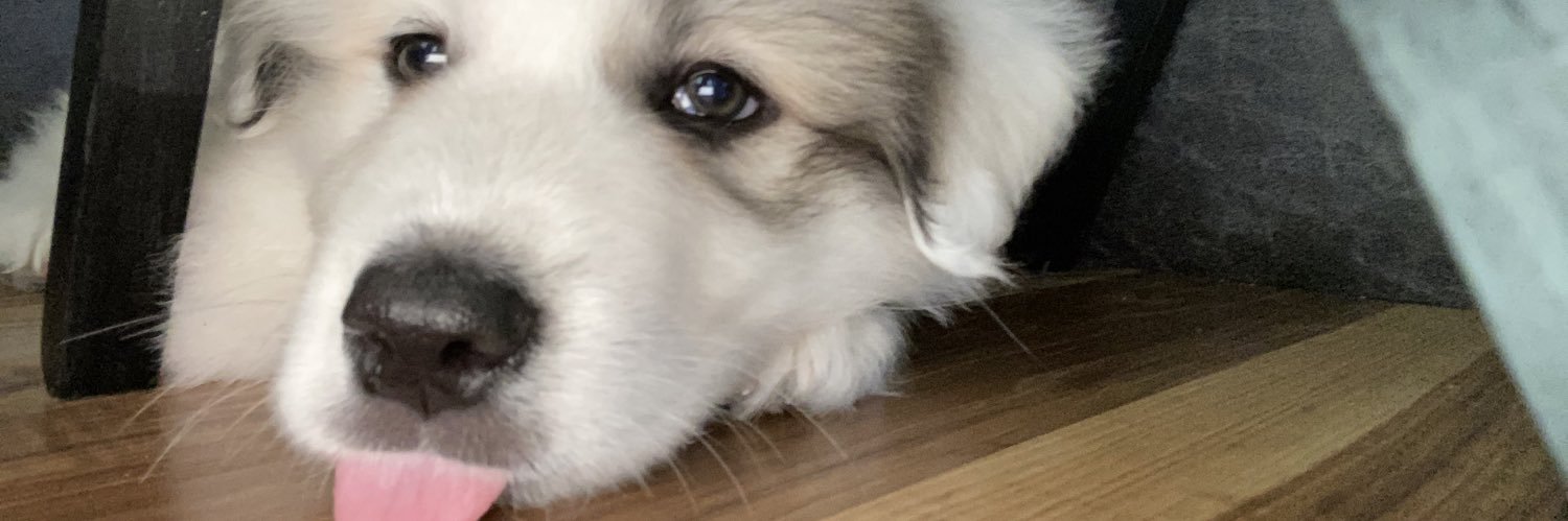 lex_hop's profile banner image