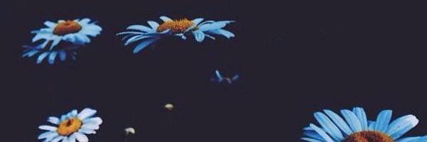 conuk_'s profile banner image
