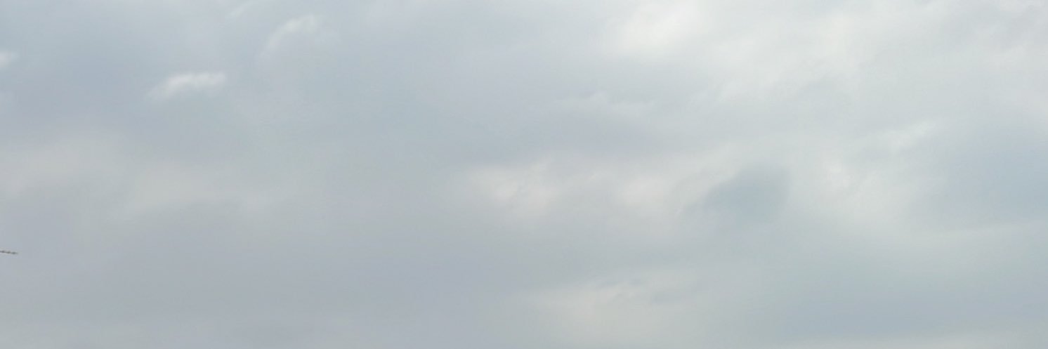 1FWAN's profile banner image